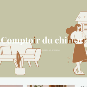 comptoir-du-chineur.com