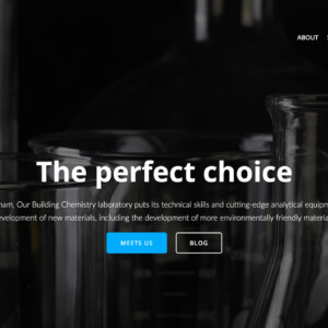 the-perfect-choice.co.uk