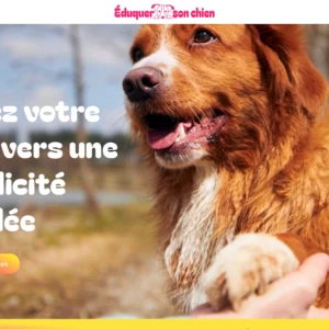 eduquer-son-chien.fr