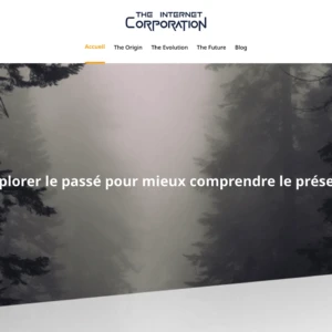 the-internet-corporation.com