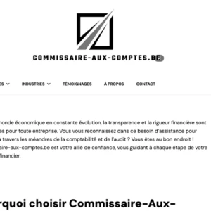 commissaire-aux-comptes.be